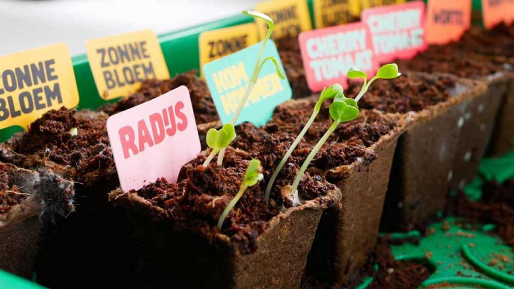 Ah plantjes, wat zijn ze mooi en goed voor je gezondheid!