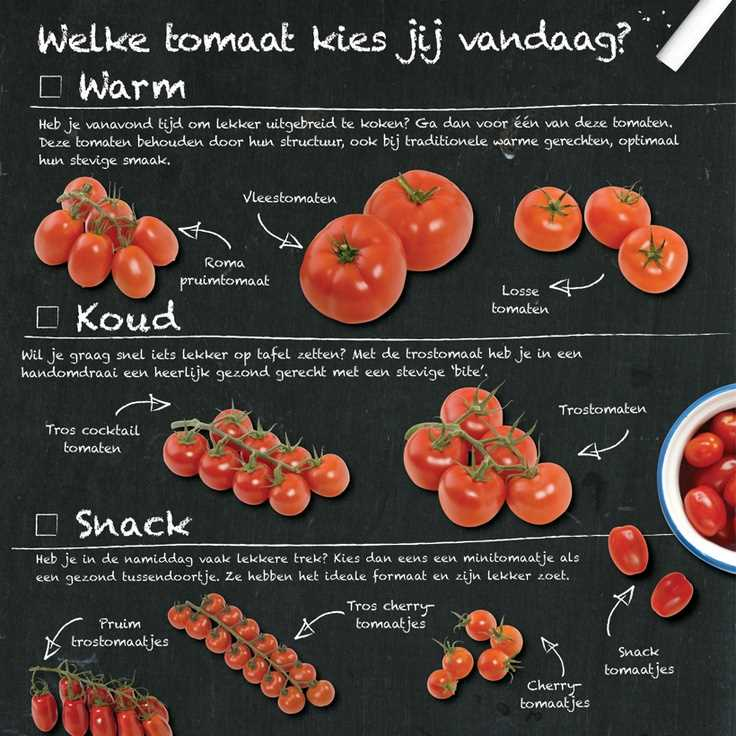 Hoeveel verschillende soorten tomaten bestaan er? Ontdek de diversiteit van deze populaire vrucht!