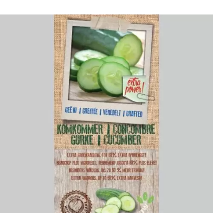 Geïnte komkommerplant kopen - tips voor het kiezen en verzorgen van de beste komkommerplanten
