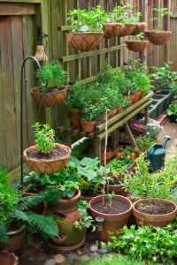 Moestuin in pot - tips en tricks voor een succesvolle groentetuin op je balkon