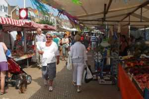 Markten bollenstreek - ontdek de kleurrijke bloemenmarkt van Nederland