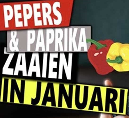 Pepers zaaien in januari - tips en tricks voor een succesvolle start van je moestuinseizoen