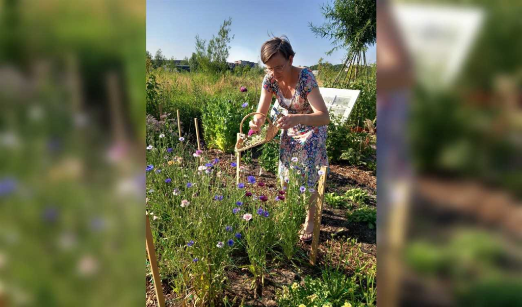 Pluktuin Katwijk - zelf fruit en bloemen plukken in de prachtige omgeving van Katwijk aan Zee