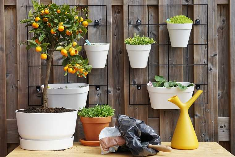 Verticale moestuin kopen - tips en advies voor het kiezen van de perfecte verticale tuin