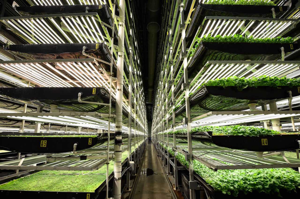 Verticale landbouw in Nederland - de toekomst van duurzame voedselproductie