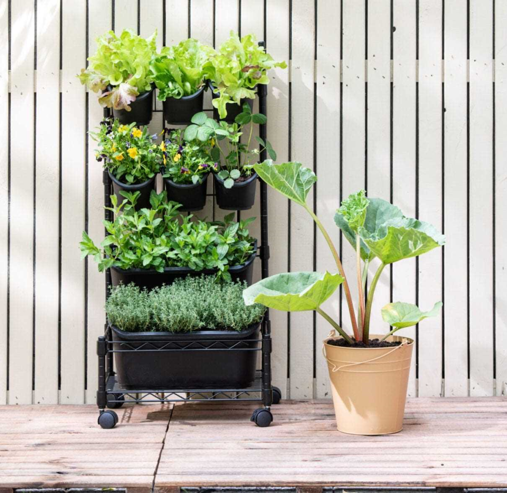 Stappenplan voor het maken van een verticale moestuin - een groene oase in je eigen achtertuin