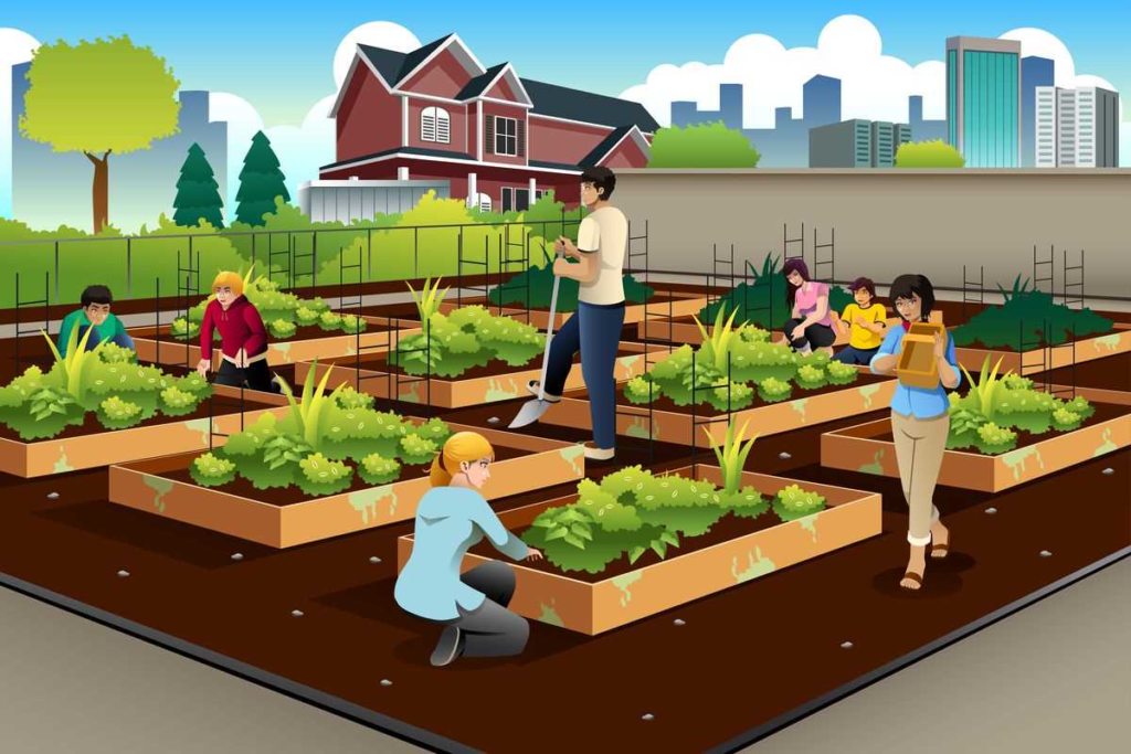 Stadsboerderij - een duurzame oplossing voor voedselproductie in de stad
