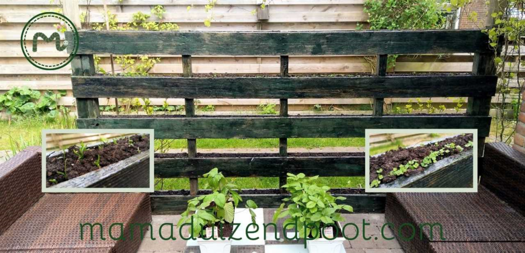 Stappenplan voor het maken van een verticale kruidentuin in uw tuin